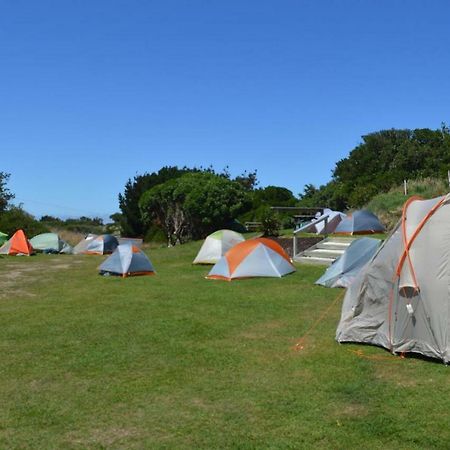 Dunedin Holiday Park Buitenkant foto